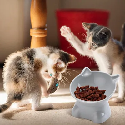 UAMLY Gamelles anti-vomi pour chats