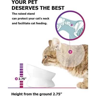 UAMLY Gamelle en céramique  inclinée pour Chat