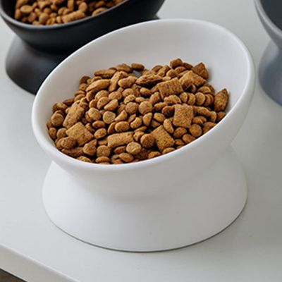 UAMLY Erhöhter und geneigter Keramik-Katzennapf