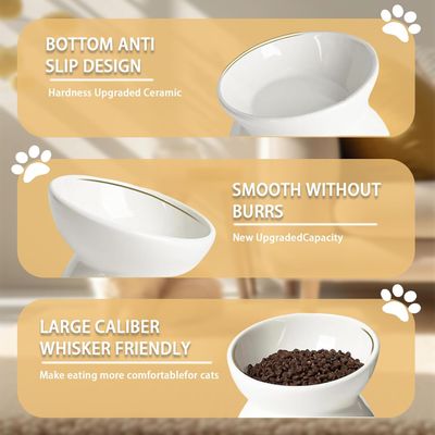 UAMLY Comedero de cerámica elevado e inclinado para gatos