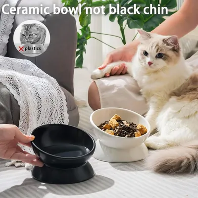 UAMLY Gamelle surélevée et inclinée en céramique pour chat