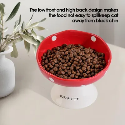 UAMLY Gamelles surélevées en céramique pour chats