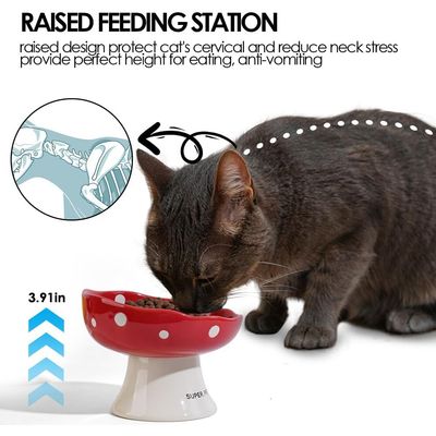 UAMLY Cuencos de cerámica elevados para gatos