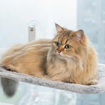 UAMLY Perchoir de fenêtre sans fil pour chat