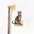 UAMLY Corde d'escalade murale pour arbre à chat