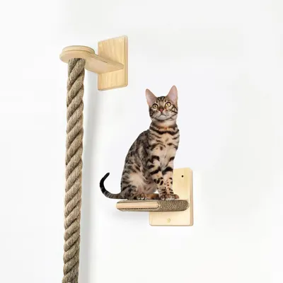 UAMLY Corde d'escalade murale pour arbre à chat