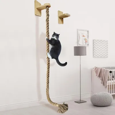 UAMLY Corde d'escalade murale pour arbre à chat