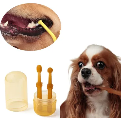 UAMLY Brosse à dents nettoyante pour chat et chien