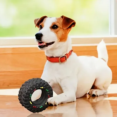 FurryFusion Jouet pour chien en forme de pneu