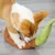 FurryFusion Jouet pour chien escargot interactif