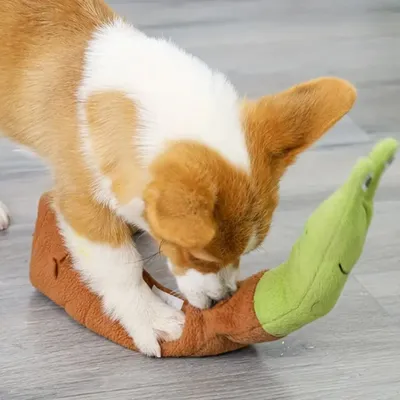 FurryFusion Jouet pour chien escargot interactif