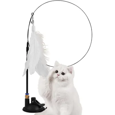 UAMLY Jouet pour chat à ventouse – avec cloche