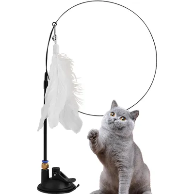 UAMLY Jouet pour chat à ventouse – avec cloche