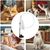 UAMLY Jouet pour chat à ventouse – avec cloche