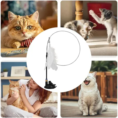 UAMLY Jouet pour chat à ventouse – avec cloche
