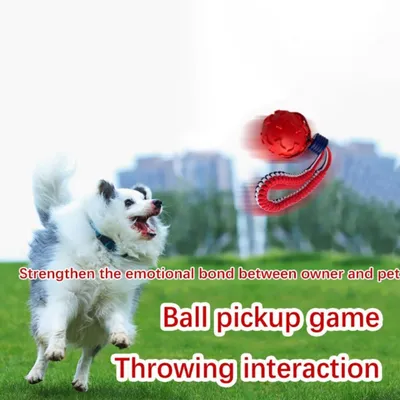 FurryFusion Balle en caoutchouc TPR