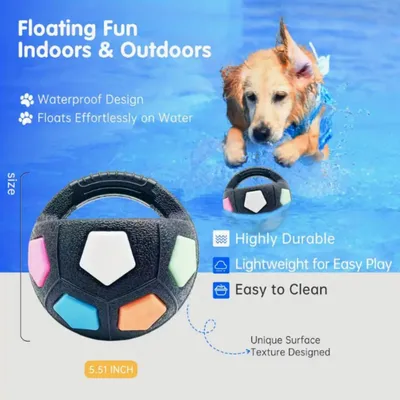 FurryFusion Jouet de football pour chien