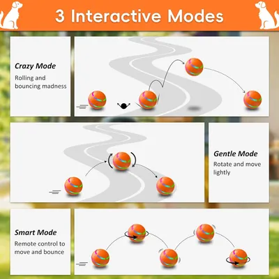 UAMLY Jouet pour chien à balle rebondissante automatique