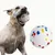 FurryFusion Jouet en caoutchouc pour chien, boule interactive FurryFusion Jouet en caoutchouc pour chien, boule interactive