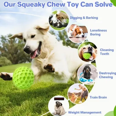 FurryFusion Ballon bruissant pour chien en caoutchouc résistant