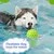 FurryFusion Ballon bruissant pour chien en caoutchouc résistant