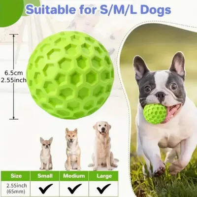 FurryFusion Ballon bruissant pour chien en caoutchouc résistant