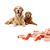 FurryFusion Sushi de morue pour chiens