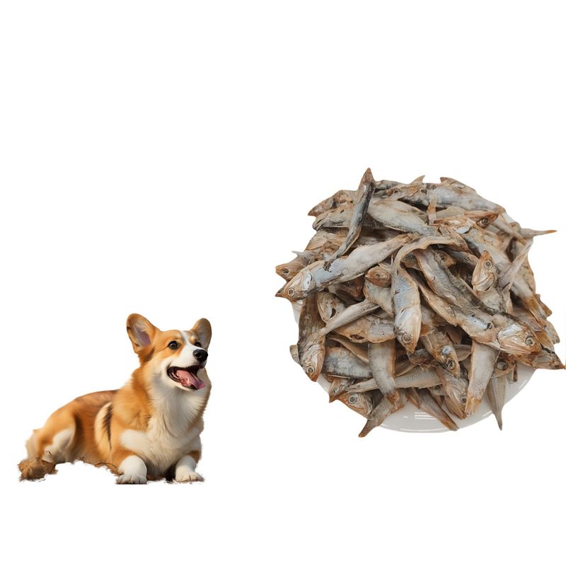 FurryFusion Collations pour chats : poissons séchés lyophilisés