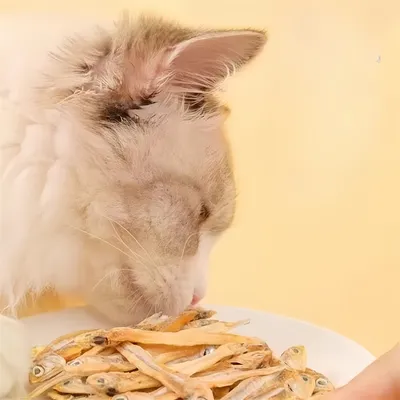 FurryFusion Collations pour chats : poissons séchés lyophilisés