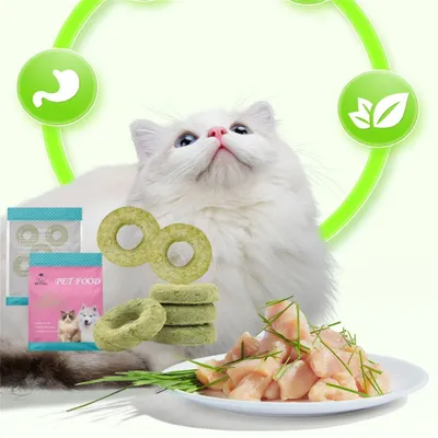 FurryFusion Freeze-dried Cat Snacks-Donut