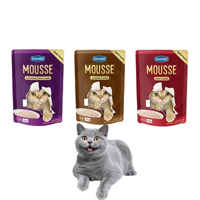 Nourriture humide au bœuf pour chat 12 x 85 g