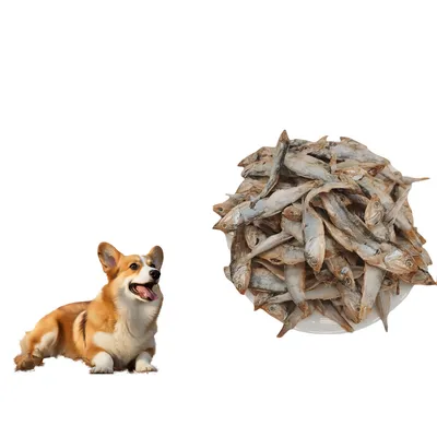 FurryFusion Collations pour chats : poissons séchés lyophilisés