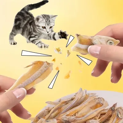 FurryFusion Aperitivos para gatos: pescado liofilizado