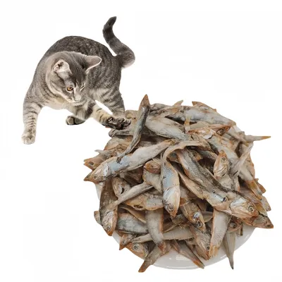 FurryFusion Collations pour chats : poissons séchés lyophilisés