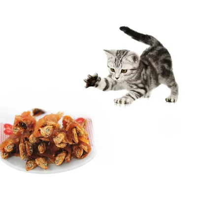 FurryFusion Snack de poisson séché enroulé dans du poulet
