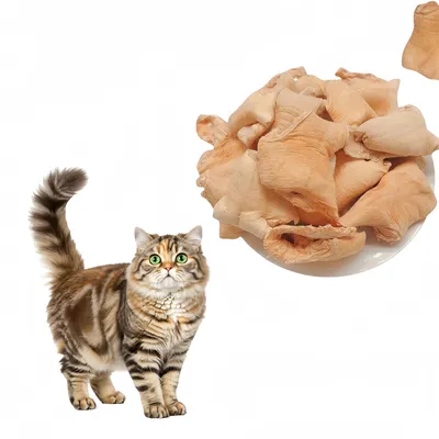 FurryFusion Collation pour chats à base de palourde arctique lyophilisée