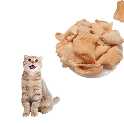 FurryFusion Collation pour chats à base de palourde arctique lyophilisée