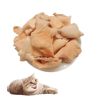 FurryFusion Collation pour chats à base de palourde arctique lyophilisée