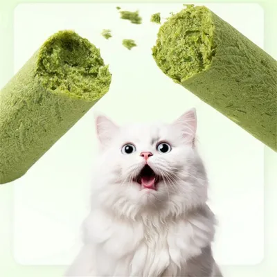 FurryFusion Stick Boire De Chat