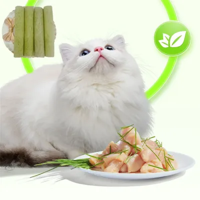 FurryFusion Stick Boire De Chat