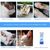 FurryFusion Spray anti - pyodermite 50ml