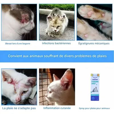 FurryFusion Spray anti - pyodermite 50ml