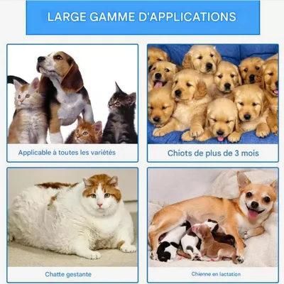 FurryFusion Spray anti - pyodermite 50ml