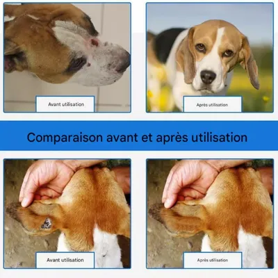 FurryFusion Spray anti - pyodermite 50ml