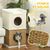 PawHut - Tour chat 3 niveaux, 2 niches H.75,5 cm - Crème