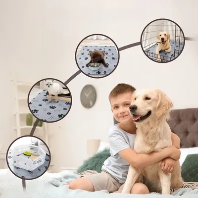 FurryFusion Tapis d'alimentation pour chien