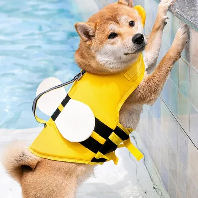FurryFusion Gilet de sauvetage pour chien en forme d'abeille