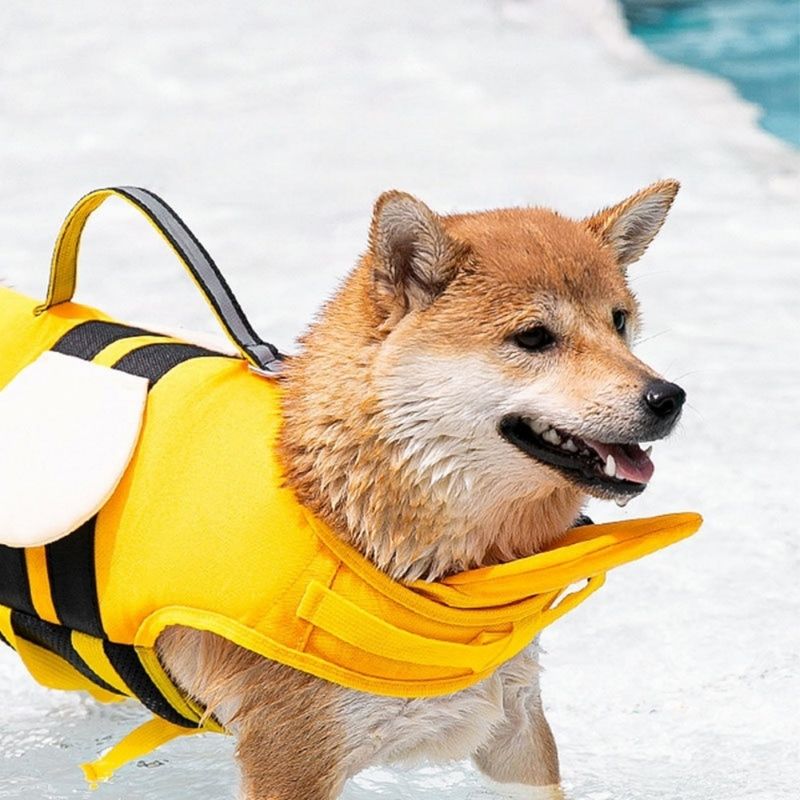 FurryFusion Gilet de sauvetage pour chien en forme d'abeille