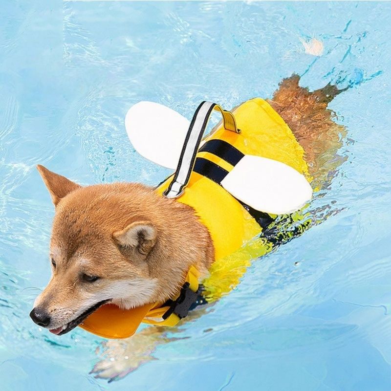 FurryFusion Gilet de sauvetage pour chien en forme d'abeille