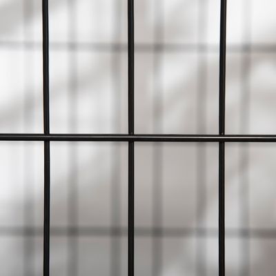 PawHut - cage d'intérieur 2 portes pour chien sur roulettes - noir